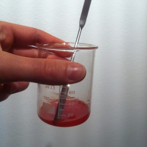 photo (13)