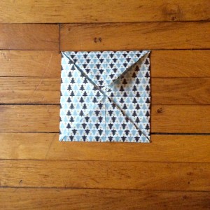 FullSizeRender (1)