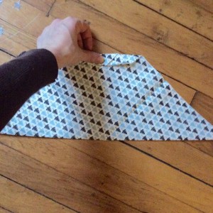 FullSizeRender (1)