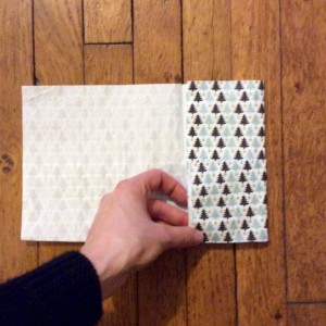 FullSizeRender (13)