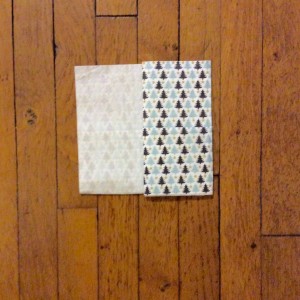FullSizeRender (14)