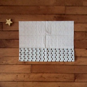FullSizeRender (2)