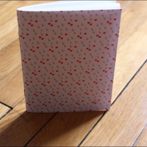 photo 1 (2)
