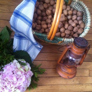 photo 4 (10)
