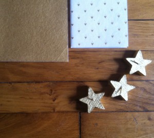 photo 3 (16)