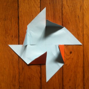 photo 4 (13)