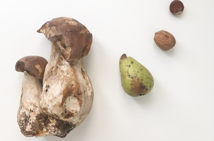 Recette facile automne cèpe persillade