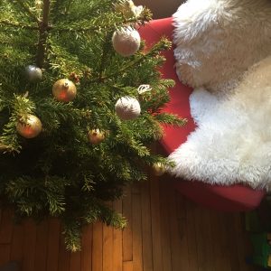 idee de cadeau pas cher et fashion pour Noel