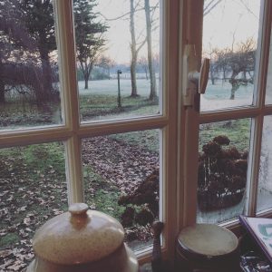 Résolutions 2017 bons voeux